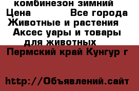 комбинезон зимний › Цена ­ 1 300 - Все города Животные и растения » Аксесcуары и товары для животных   . Пермский край,Кунгур г.